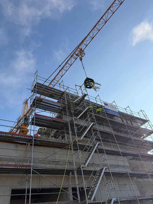 11 | 2025 - studioaw